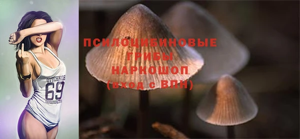 ГАЛЛЮЦИНОГЕННЫЕ ГРИБЫ Нея